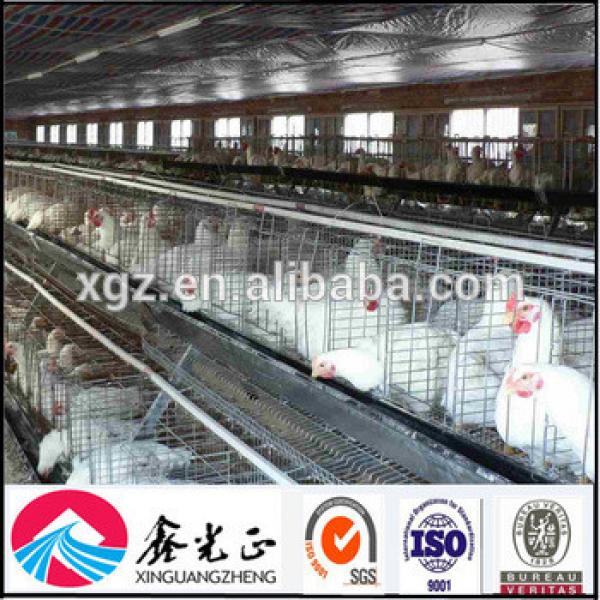 Automatic poultry farming design for layer chicken poultry house #1 image