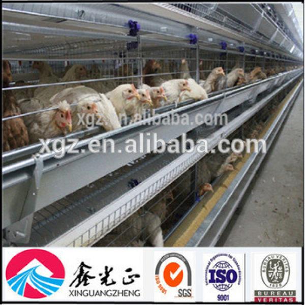 Professional Design Chicken Egg Poultry Farm #1 image