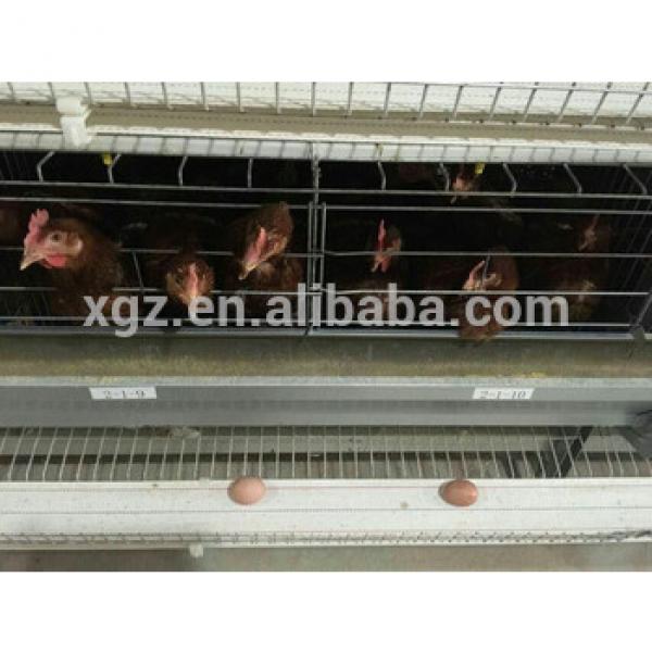 used chicken egg layer cages type for sale #1 image