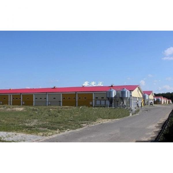 chicken feeder farm building poultry farm shed with automatic system #1 image