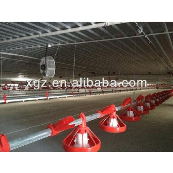 Chicken poultry house with automatic drinkers and feeders #1 image
