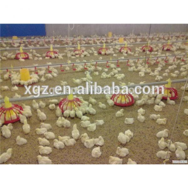 Professional chicken house/farm equipment for chicken breeding #1 image