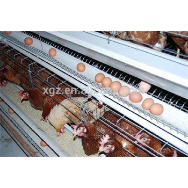 prefab automatic low cost laying hens house #1 image