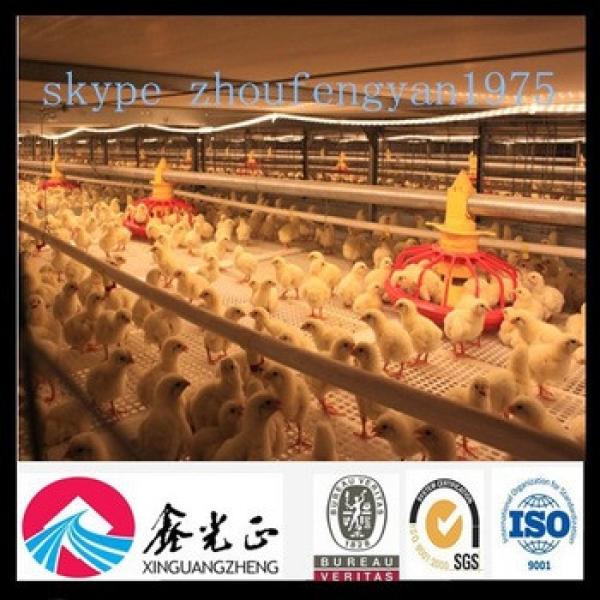 design Industrial Poultry chicken Farming equipment #1 image
