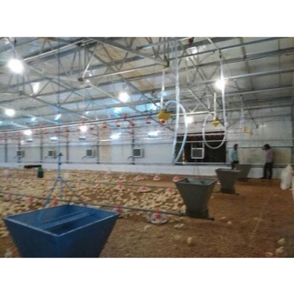design Industrial Poultry layer Farming Equipment/Chicken farming equipment for sale #1 image