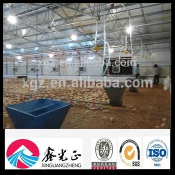 china brolier layer cheap chicken egg house for sale #1 image