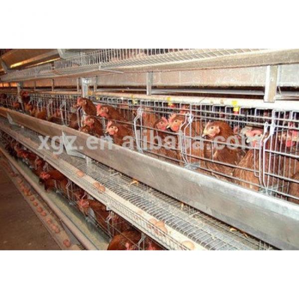 design High quality Automatic chicken layer farm broiler poultry shed design #1 image