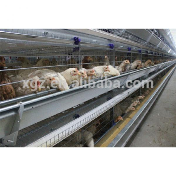 china layer and brolier Steel chicken farm building #1 image