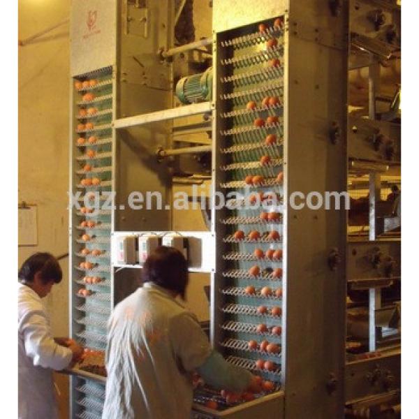 automatic equipment chicken egg equipment poultry farm design #1 image