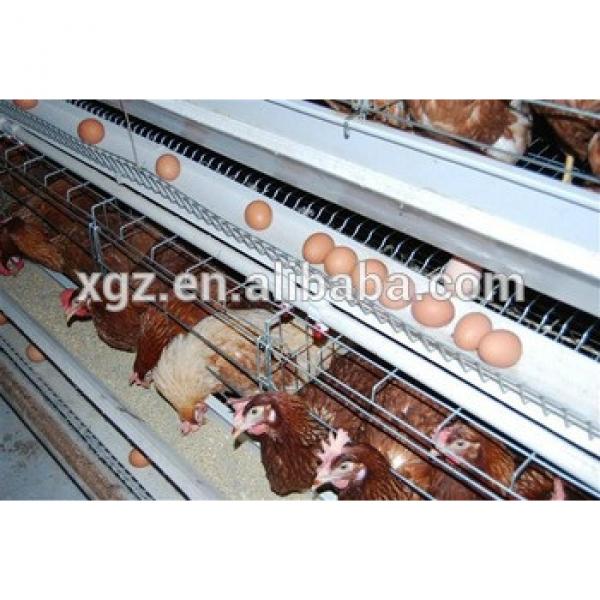 Best selling types of poultry layer chicken house #1 image