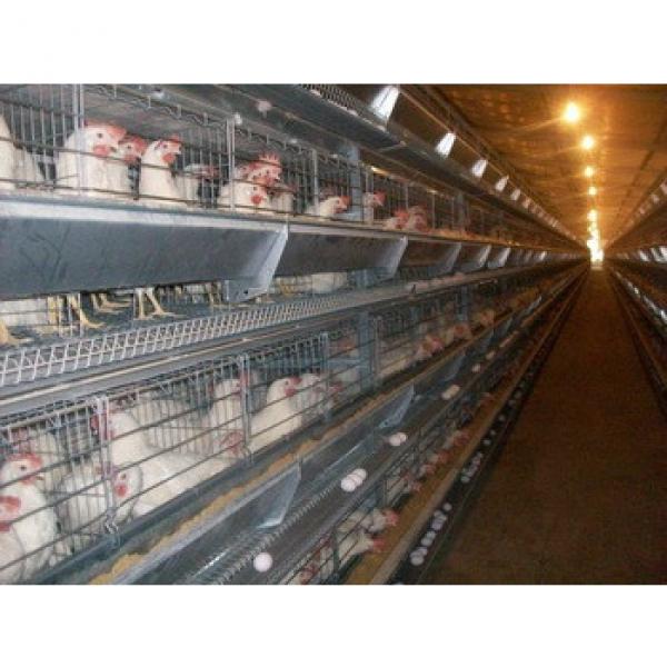 prefab automated poultry farm products #1 image
