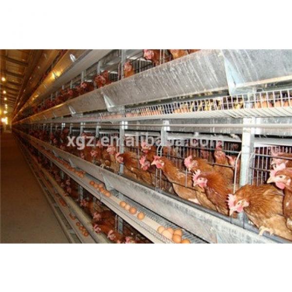 prefab automated layer poultry shed #1 image