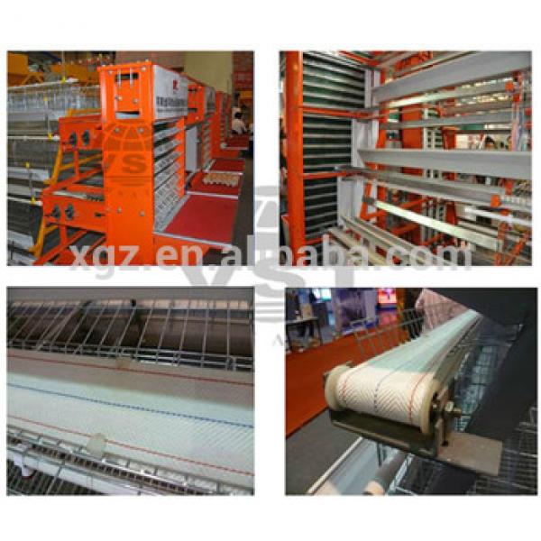 layer modern best price automatic chicken shed poultry farm in angola #1 image