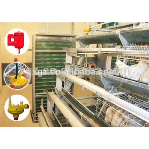 automatic poultry layer farming equipment for layers in kenya farm #1 image