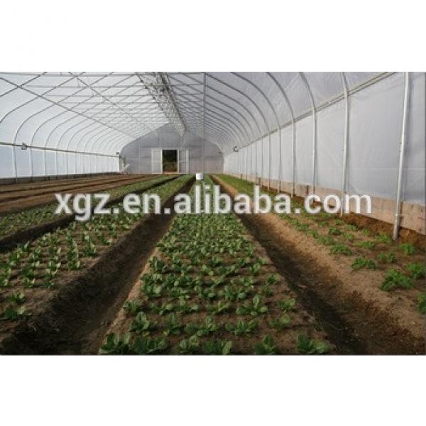 Simple galvanized steel tube and agricultural greenhouse #1 image