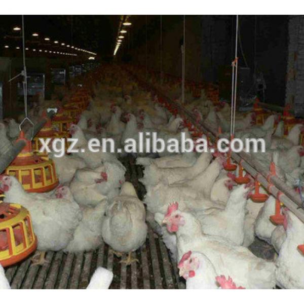 Prefeabricated Steel Structure Chicken Poultry House #1 image
