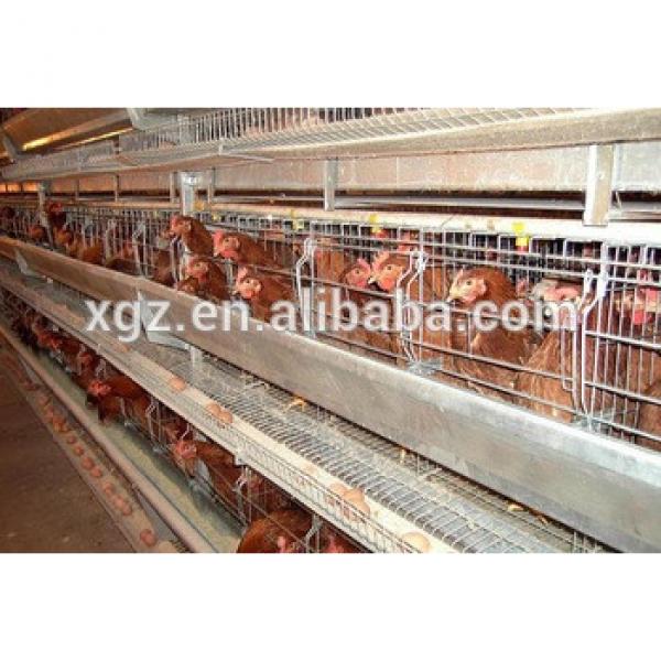 Automatic poultry feeding system Professional design chicken egg poultry farm #1 image