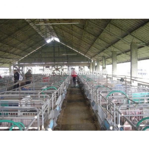 steel building industrial sheds design construction pig farm project with automatic equipment #1 image