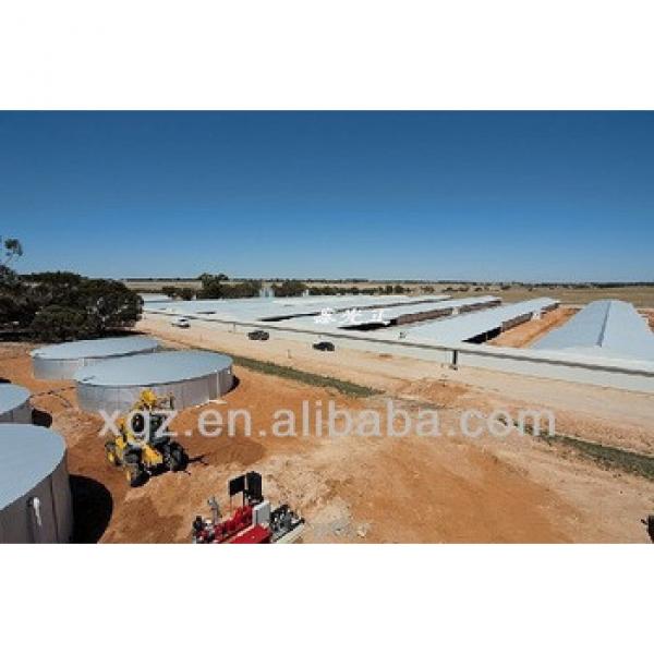 automatic chicken house poultry farm design for algeria #1 image