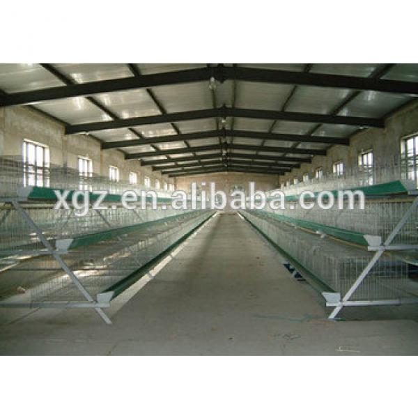 layer steel chicken house for sale #1 image
