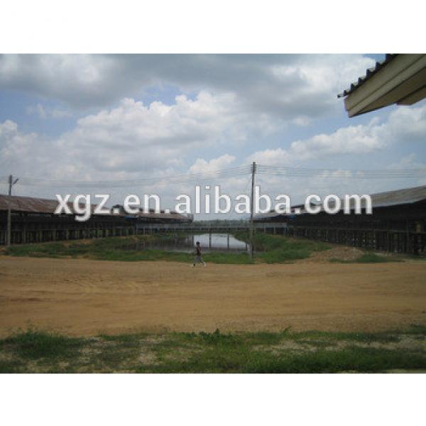 low price advanced automated pig farm in india #1 image
