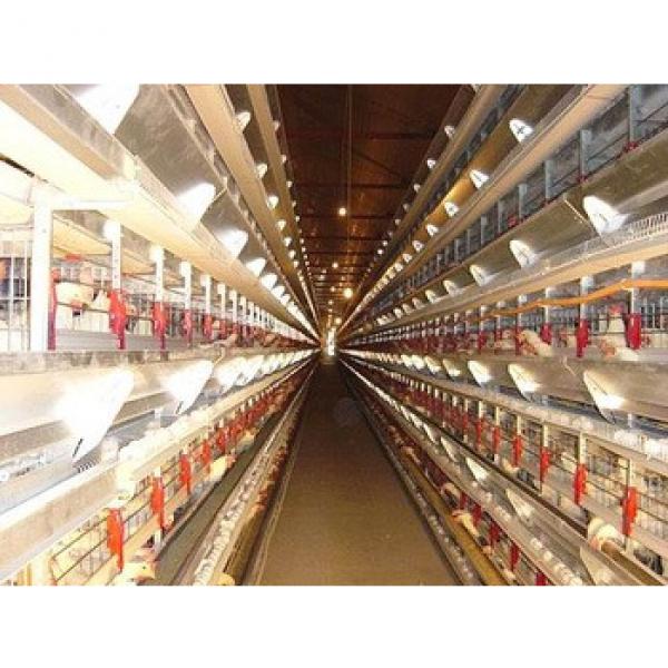 cheap advanced automated chicken egg poultry farm #1 image