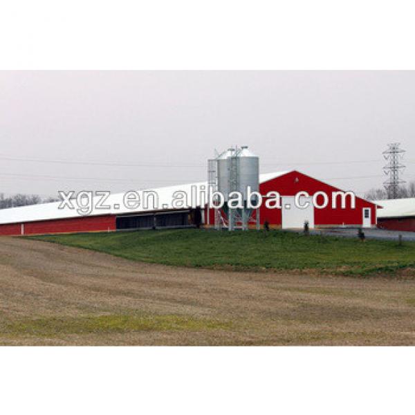 cheap advnced automated low cost broiler chicken house steel sale in algeria #1 image