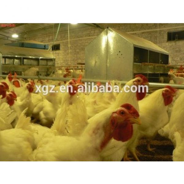 cheap advanced automatic building poultry house for 10000 chickens #1 image