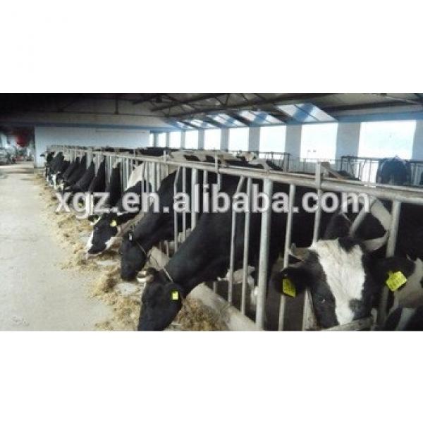 low price advanced automated cattle farm made in china #1 image