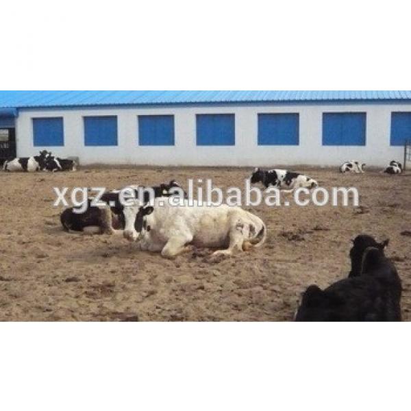 low cost advanced automated equipment dairy farm steel structure shed for milk cow #1 image