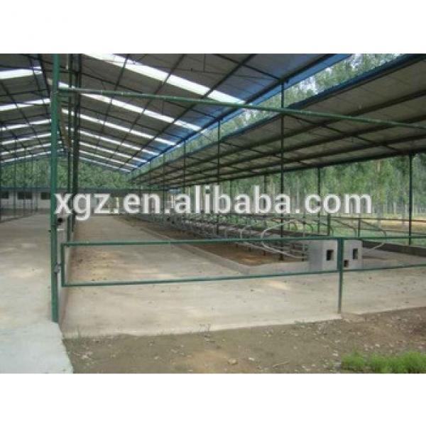 modern advanced automated cattle shed #1 image