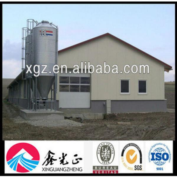 Steel Structure Poultry House / Chicken House / Chicken Farm #1 image