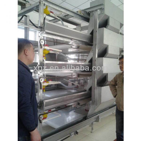 automatic feeding system and nipple drinking system for chicken #1 image