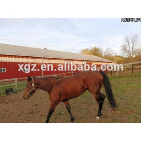 Agriculture steel structure building/steel structure horse riding arena #1 image