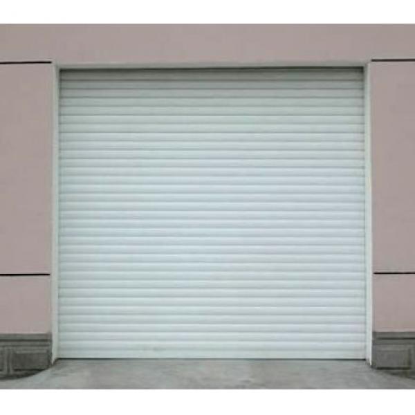electric upward sliding single/double garage door #1 image
