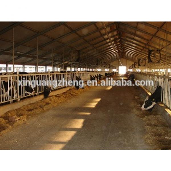 Prefabricated steel structure dairy farm shed for cow feeding industry #1 image