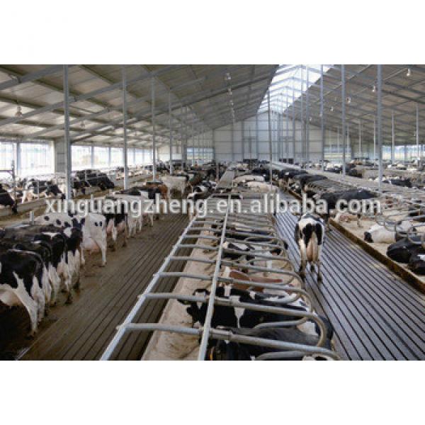Safe without infection Use and Steel Material prefabricated cowshed building #1 image