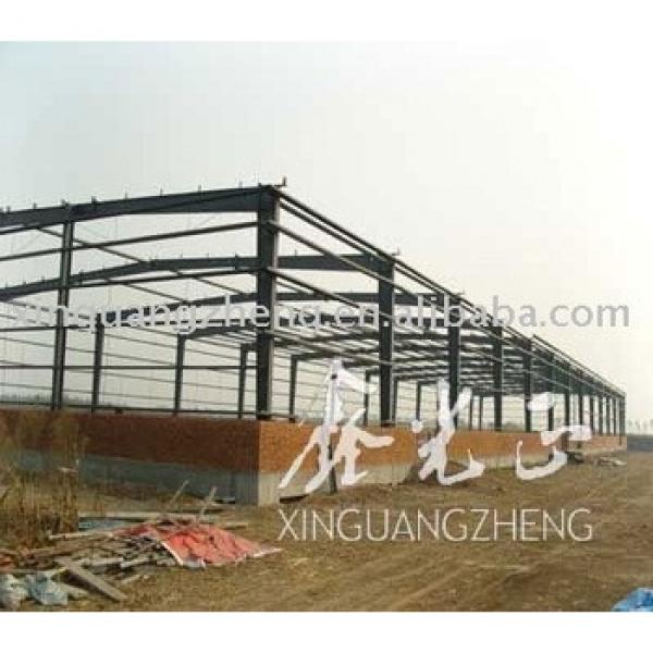 Prefab Large Span Steel Structure Buildings/Workshop #1 image