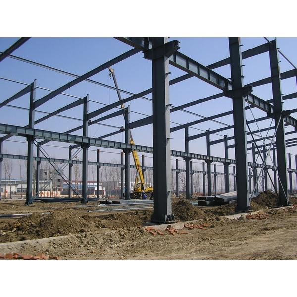 Water proof steel structure rice plant #1 image