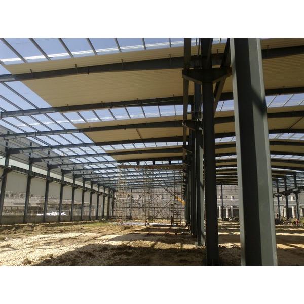 Steel structure prefabricated rice plant #1 image